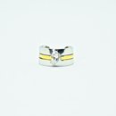 Interchangeable Ring Set